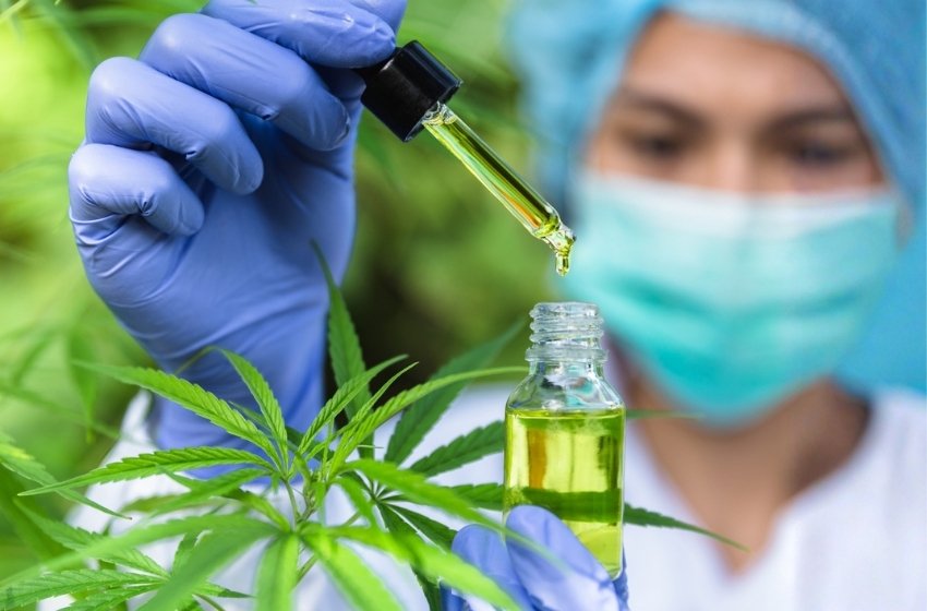 Médicos discutindo sobre a prescrição de cannabis medicinal para pacientes