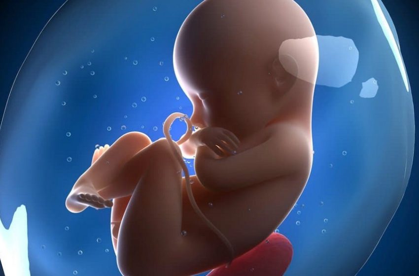 Pesquisadores realizando edição genética em embriões humanos