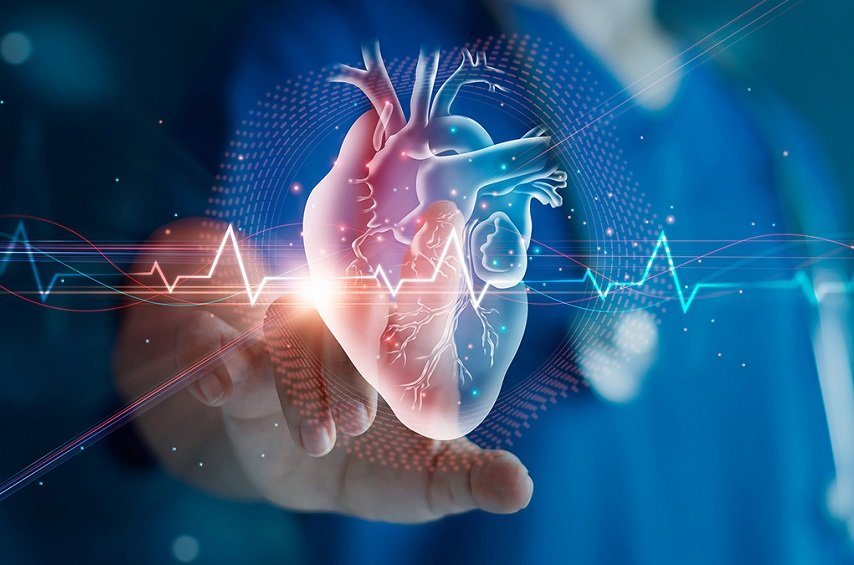Plataforma de dados sobre doenças cardiovasculares da SBC com gráficos e estatísticas